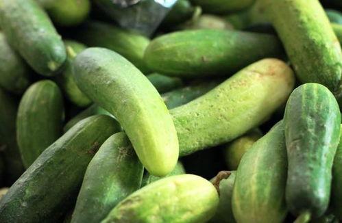 51c吃瓜网每日大赛,精彩对决，瓜界风云再起