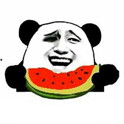 长青大学熊猫duck瓜吃瓜网,揭秘吃瓜网背后的故事