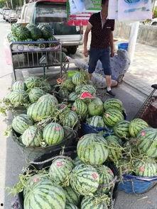 武都网红 吃瓜事件视频