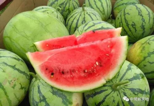 五一吃瓜网今日吃瓜黄玉瑶